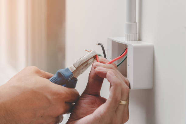 Best Electrical Panel Upgrades  in Palm Bay, FL